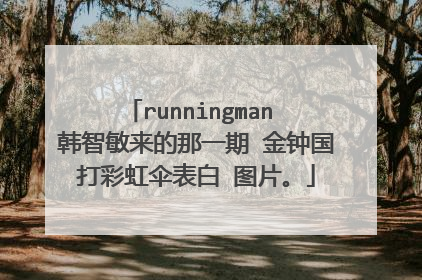 runningman 韩智敏来的那一期 金钟国打彩虹伞表白 图片。