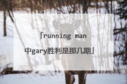 running man中gary胜利是那几期