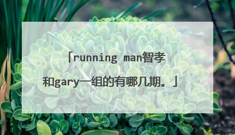 running man智孝和gary一组的有哪几期。
