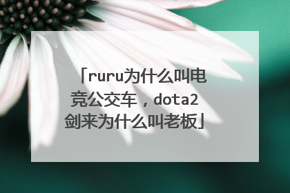 ruru为什么叫电竞公交车，dota2剑来为什么叫老板