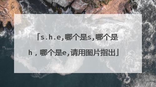 s.h.e,哪个是s,哪个是h,哪个是e,请用图片指出
