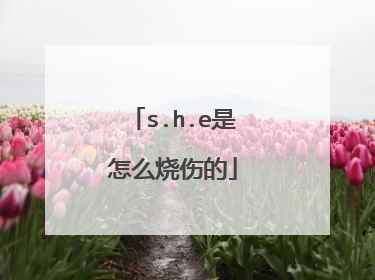 s.h.e是怎么烧伤的