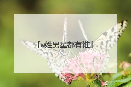 w姓男星都有谁