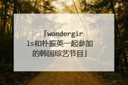 wondergirls和朴振英一起参加的韩国综艺节目