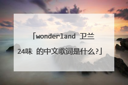 wonderland 卫兰24味 的中文歌词是什么?