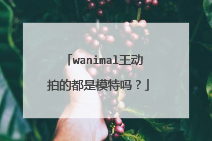 wanimal王动拍的都是模特吗？
