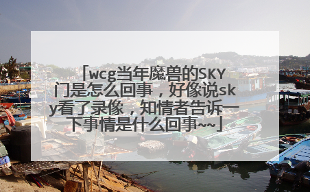 wcg当年魔兽的SKY门是怎么回事,好像说sky看了录像,知情者告诉一下事情是什么回事~~