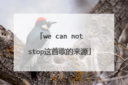 we can not stop这首歌的来源
