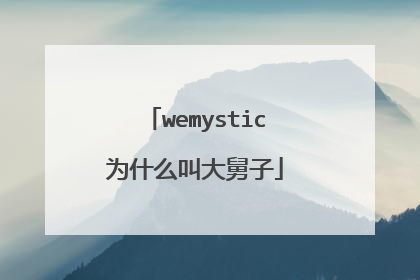 wemystic为什么叫大舅子