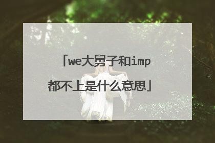 we大舅子和imp都不上是什么意思