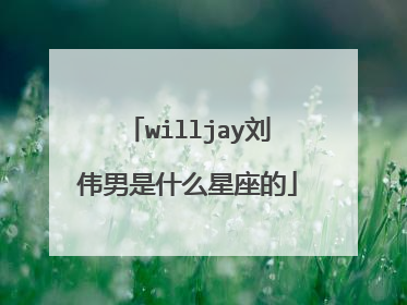 willjay刘伟男是什么星座的
