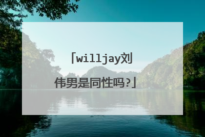 willjay刘伟男是同性吗?