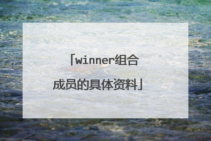 winner组合成员的具体资料