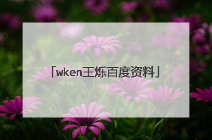 wken王烁百度资料