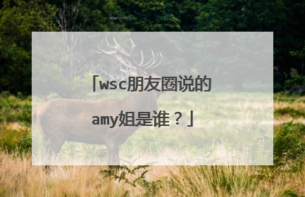 wsc朋友圈说的amy姐是谁?