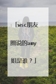 wsc朋友圈说的amy姐是谁？