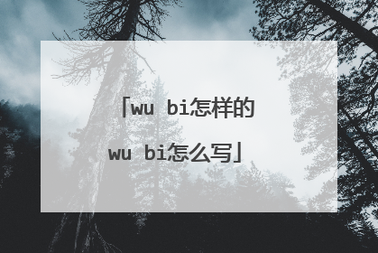 wu bi怎样的wu bi怎么写