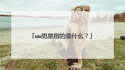 ww男星指的是什么？
