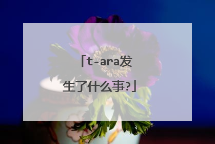 t-ara发生了什么事?