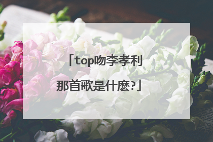 top吻李孝利那首歌是什麽?