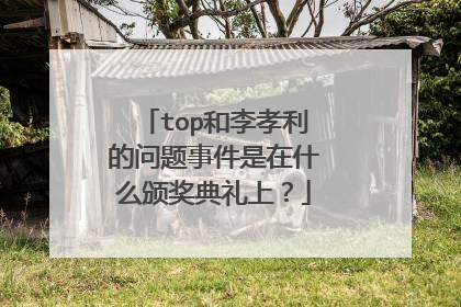 top和李孝利的问题事件是在什么颁奖典礼上？