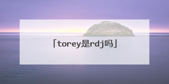 torey是rdj吗