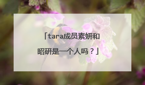 tara成员素妍和昭研是一个人吗?