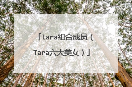tara组合成员(Tara六大美女)