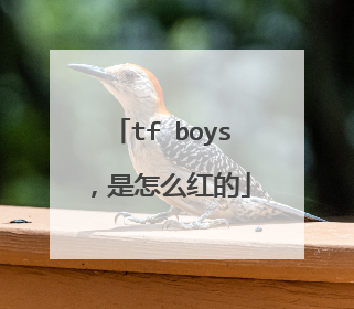 tf boys，是怎么红的