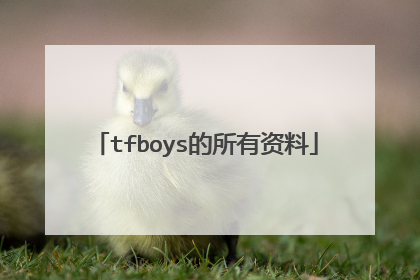 tfboys的所有资料