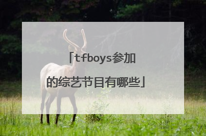 tfboys参加的综艺节目有哪些