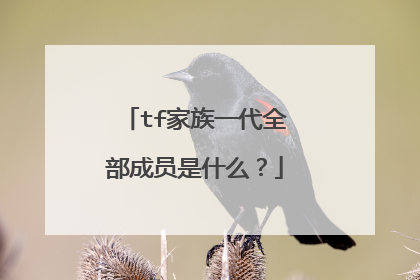 tf家族一代全部成员是什么?