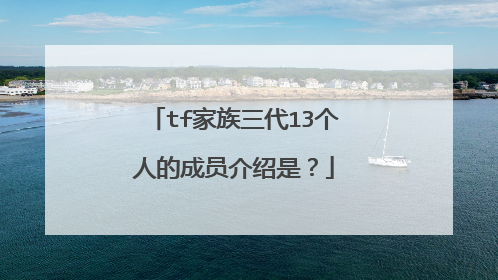 tf家族三代13个人的成员介绍是？