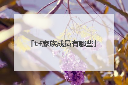 tf家族成员有哪些