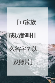 tf家族成员都叫什么名字？以及照片