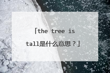 the tree is tall是什么意思？