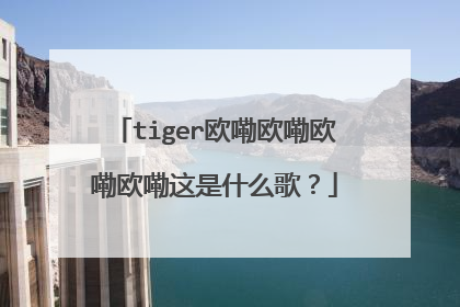 tiger欧嘞欧嘞欧嘞欧嘞这是什么歌？