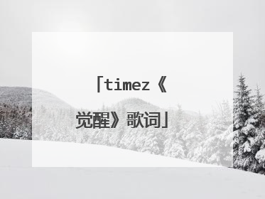 timez《觉醒》歌词