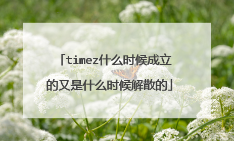 timez什么时候成立的又是什么时候解散的