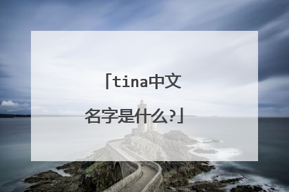tina中文名字是什么?