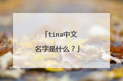 tina中文名字是什么？
