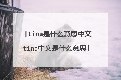 tina是什么意思中文 tina中文是什么意思