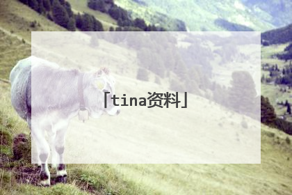 tina资料