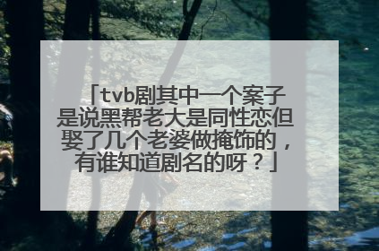 tvb剧其中一个案子是说黑帮老大是同性恋但娶了几个老婆做掩饰的，有谁知道剧名的呀？