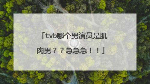tvb哪个男演员是肌肉男？？急急急！！