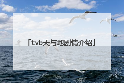 tvb天与地剧情介绍