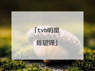 tvb明星 陈键锋