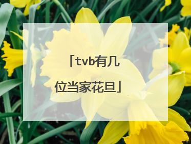 tvb有几位当家花旦
