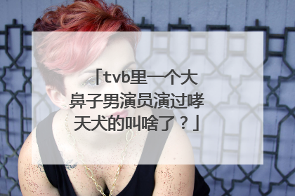 tvb里一个大鼻子男演员演过哮天犬的叫啥了？