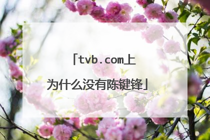 tvb.com上为什么没有陈键锋
